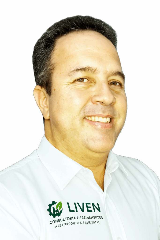 Consultor Sênior